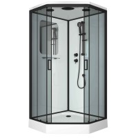 Душевая кабина Niagara Premium NG-6901-01D BLACK (90х90х220) низкий поддон(16 см),черный,стекло тонированное,4 места