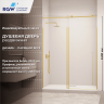 Душевая дверь RGW SV-015Gb (Прозрачное, 1700мм)  