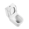 Унитаз-моноблок с сиденьем BelBagno LOUNGE BB8618CPR-MN/SC
