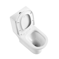Унитаз-моноблок с сиденьем BelBagno LOUNGE BB8618CPR-MN/SC