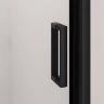 Душевая дверь RGW CL-14B NEW 1200  