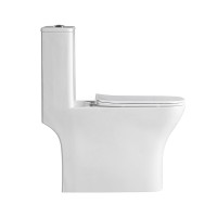 Унитаз-моноблок с сиденьем BelBagno NEON BB8617CPR-MN/SC