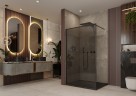 Душевая перегородка Ambassador Walk-in 15032217 (110х200) черный,стекло тонированное,1 место