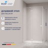 Душевой уголок с распашной дверью на петлях - RGW SV-040 (Матовое-Сатинат, 1000x800)