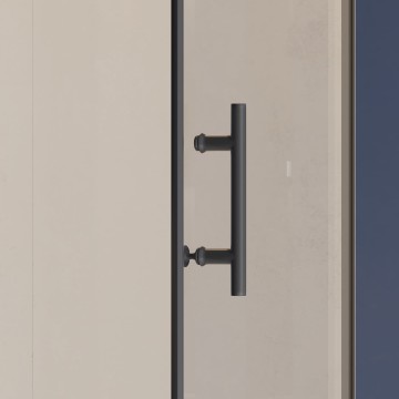 Душевая дверь RGW HO-012B (Прозрачное, 1200)