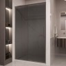 Душевая дверь Vincea Stella VDS-1ST120CGGM 1200