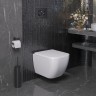 Унитаз Forsa 243K19003S (475*360*350) подвесной , 2 места