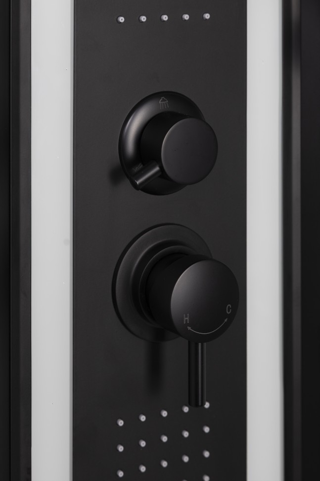 Душевая кабина Niagara Premium NG-6902-01GD BLACK (100х100х220) низкий поддон(16 см),черный,стекло тонированное,4 места