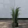 Душевая перегородка RGW WA-050W (WA-002W + Z-070W) (351005063-15)  