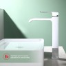 Смеситель Raglo высокий для умывальника, хром