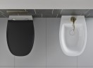 Сиденье для унитаза GSI MODO+ MS84C26 SoftClose, цвет Чёрный матовый Ardesia  