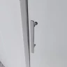 Душевая дверь Veconi Evo 100 CH, 1200x1950, хром, стекло прозрачное