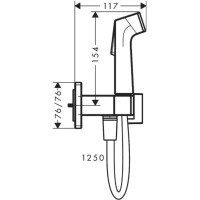 Гигиенический душ Hansgrohe Bidette, настенный, 1 jеt, цвет: белый матовый 29233700