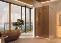 Душевая перегородка Walk-In VSW-1H900GSGM, 900*2000, вороненая сталь, стекло янтарь