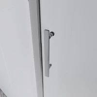 Душевая дверь Veconi Evo 100 CH, 1800x1950, хром, стекло прозрачное
