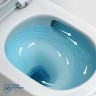 Унитаз-моноблок с сиденьем и смывом TORNADO BelBagno TRE-TOR BB673CP-MN-TOR/SC