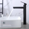 Смеситель Splenka высокий для умывальника S223.15.06 Черный